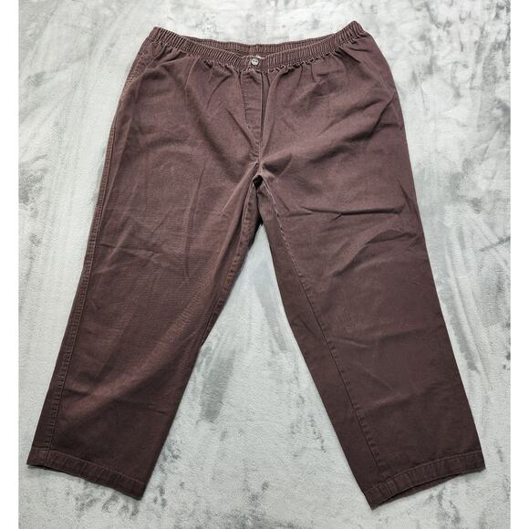 Woman Within Jeans 26W PETITE Brown 7-Day Straight-Leg Pull On Elastic Waist - Picture 1 of 11